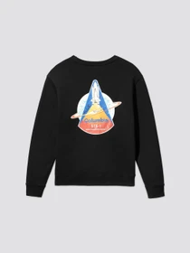 Худі та світшоти Alpha Industries NASA COLUMBIA модель USN51500C1_001 Фото