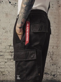 Штани Alpha Industries Cotton Jogger модель MBC52500C1_001 Фото