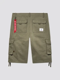 Шорты Alpha Industries Jet модель MBJ53000C1_359 Фото