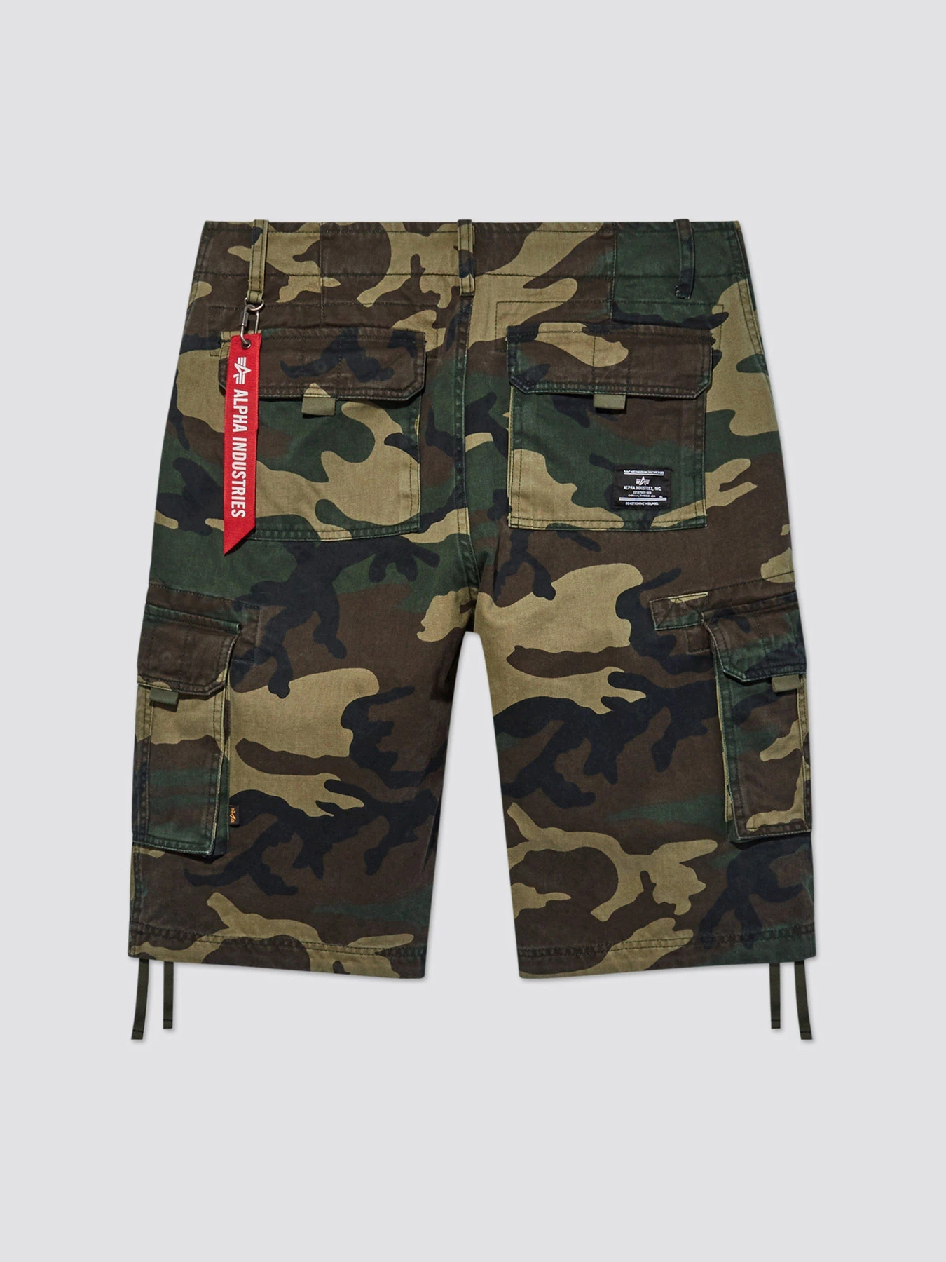 Шорты Alpha Industries Jet модель MBJ53000C1_961 Шорты Alpha Industries Jet модель MBJ53000C1_961 Фото