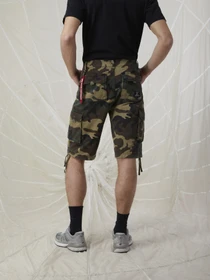 Шорты Alpha Industries Jet модель MBJ53000C1_961 Фото