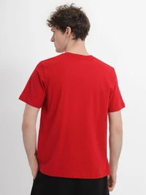 Футболки і поло Alpha Industries модель UTB49000G1_600 Фото