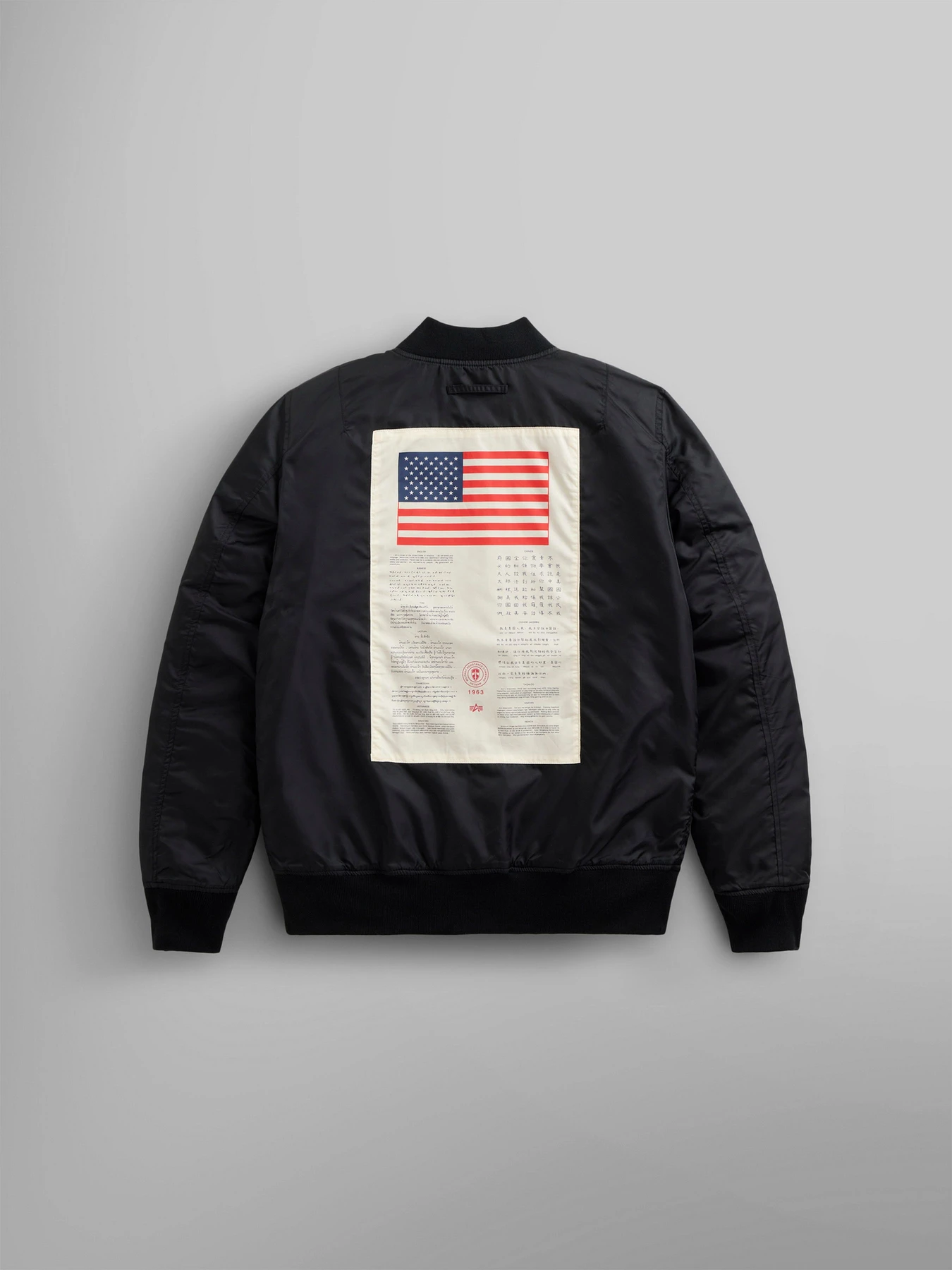 Куртки та дублянки Alpha Industries L-2b Dragonfly Blood Chit Gen II модель MJL53000C1_001 Куртки та дублянки Alpha Industries L-2b Dragonfly Blood Chit Gen II модель MJL53000C1_001 Фото