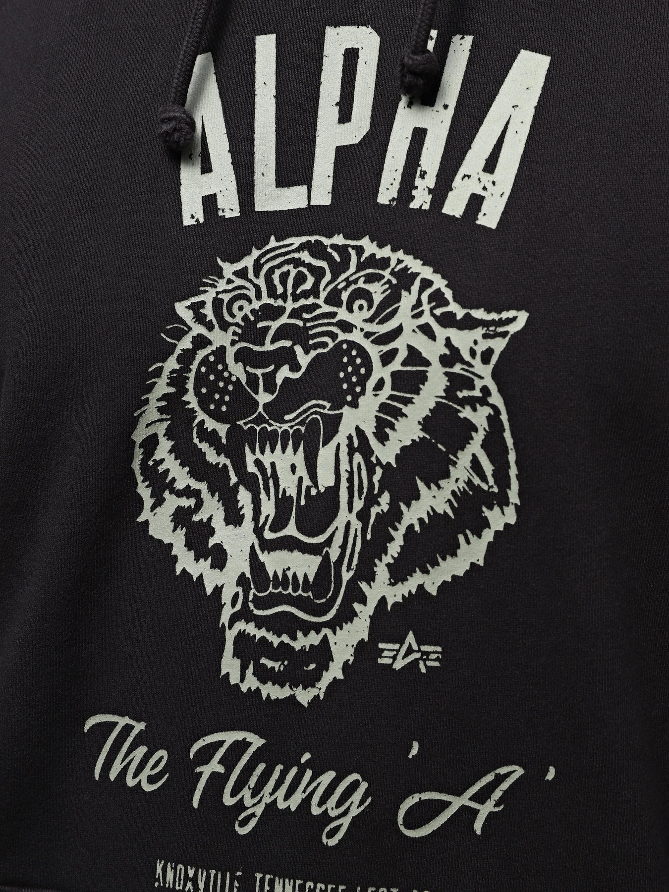 Худи и свитшоты Alpha Industries Alpha Tiger Hoodie модель USA54000PK_001 Фото