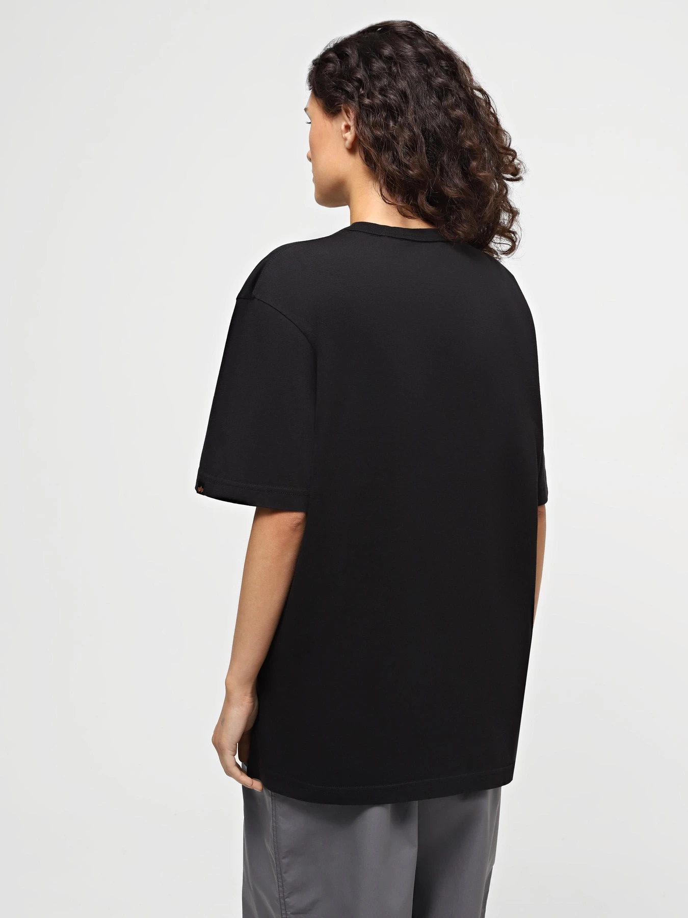 Футболки и поло Alpha Industries Alpha Plane Tee модель UTA54006PK_001 Футболки и поло Alpha Industries Alpha Plane Tee модель UTA54006PK_001 Фото