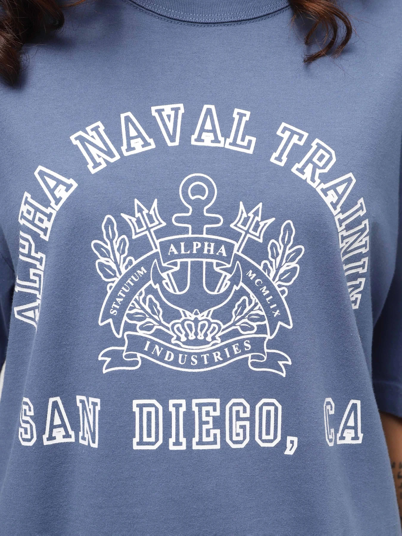 Футболки и поло Alpha Industries Alpha Naval Base San Diego Tee модель UTA54012PK_521 Футболки и поло Alpha Industries Alpha Naval Base San Diego Tee модель UTA54012PK_521 Фото