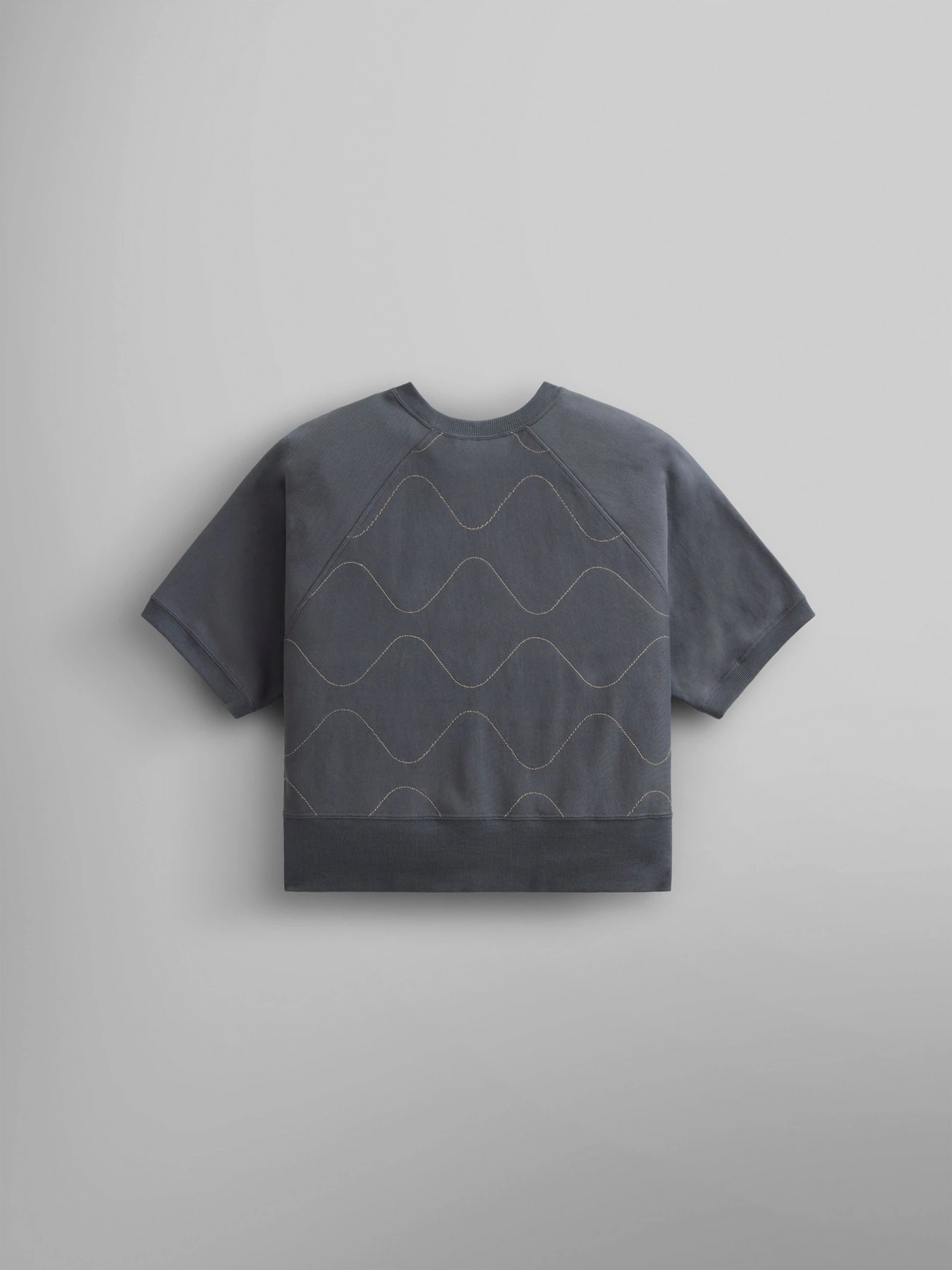 Худи и свитшоты Alpha Industries Short Sleeve Quilted Sweatshirt W модель WSS54000C1_056 Худи и свитшоты Alpha Industries Short Sleeve Quilted Sweatshirt W модель WSS54000C1_056 Фото