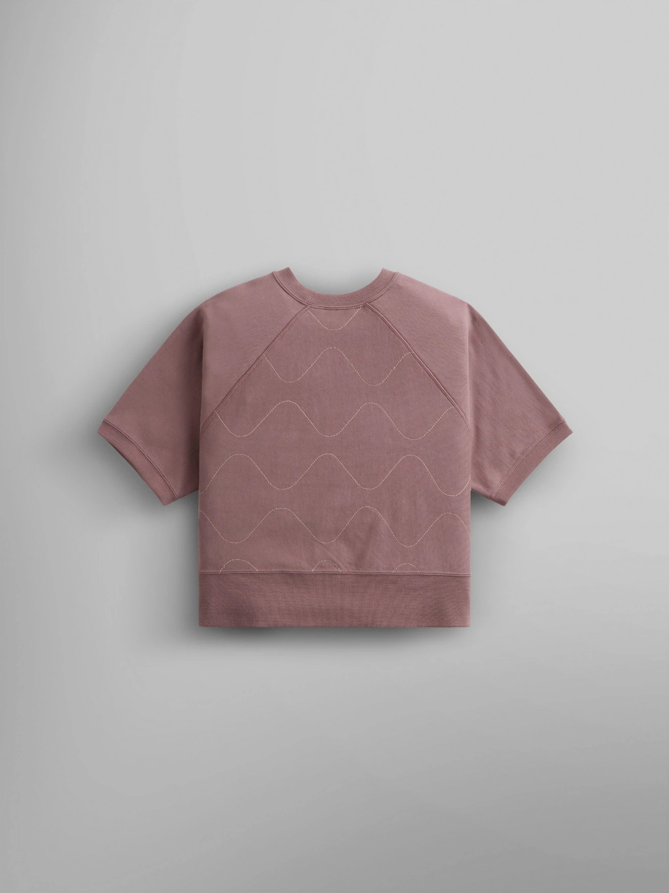 Худі та світшоти Alpha Industries Short Sleeve Quilted Sweatshirt W модель WSS54000C1_521 Худі та світшоти Alpha Industries Short Sleeve Quilted Sweatshirt W модель WSS54000C1_521 Фото