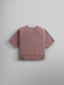 Худі та світшоти Alpha Industries Short Sleeve Quilted Sweatshirt W модель WSS54000C1_521 Фото