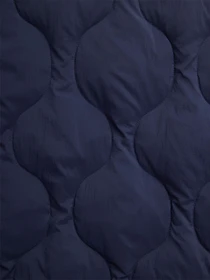 Куртки та дублянки Alpha Industries Lightweight Quilted Down модель MJL54501C1_410 Фото