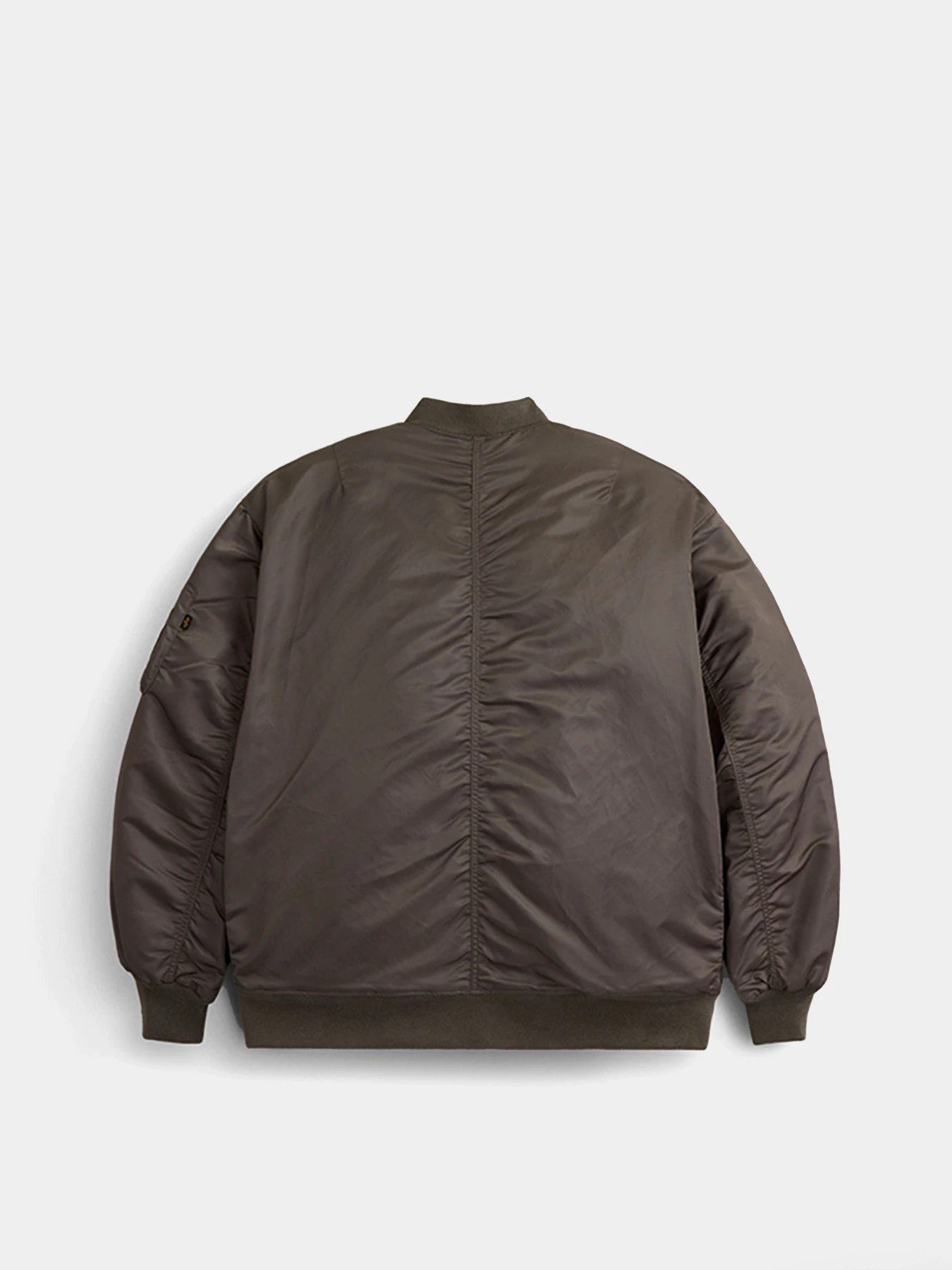 Куртки та дублянки Alpha Industries Oversized MA-1 Mod модель WJO53500C1_204 Куртки та дублянки Alpha Industries Oversized MA-1 Mod модель WJO53500C1_204 Фото