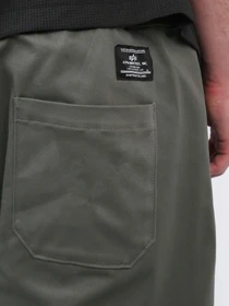 Шорты Alpha Industries CTN модель MBC55000C1_303 Фото