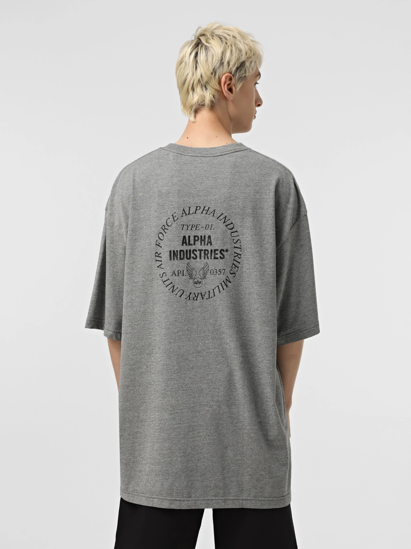 Футболки и поло Alpha Industries Unfrm Type-01 модель MTU55009C1_063 Футболки и поло Alpha Industries Unfrm Type-01 модель MTU55009C1_063 Фото