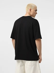 Футболки і поло Alpha Industries Essential Relaxed модель UTE54000PK_001 Фото