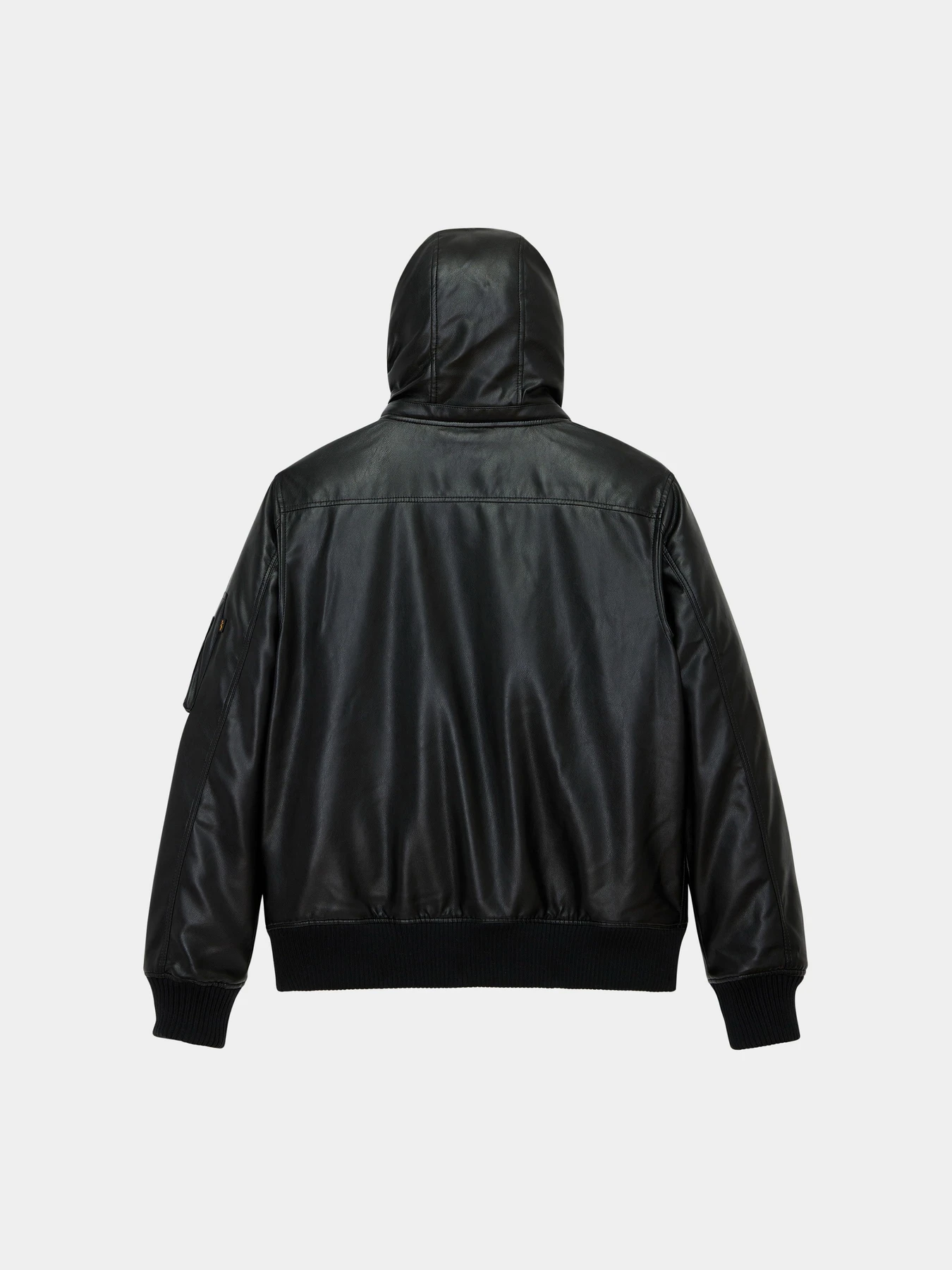 Куртки и дубленки Alpha Industries FAUX LEATHER HOODED RIB FLIGHT модель MJF55501C1_001 Куртки и дубленки Alpha Industries FAUX LEATHER HOODED RIB FLIGHT модель MJF55501C1_001 Фото