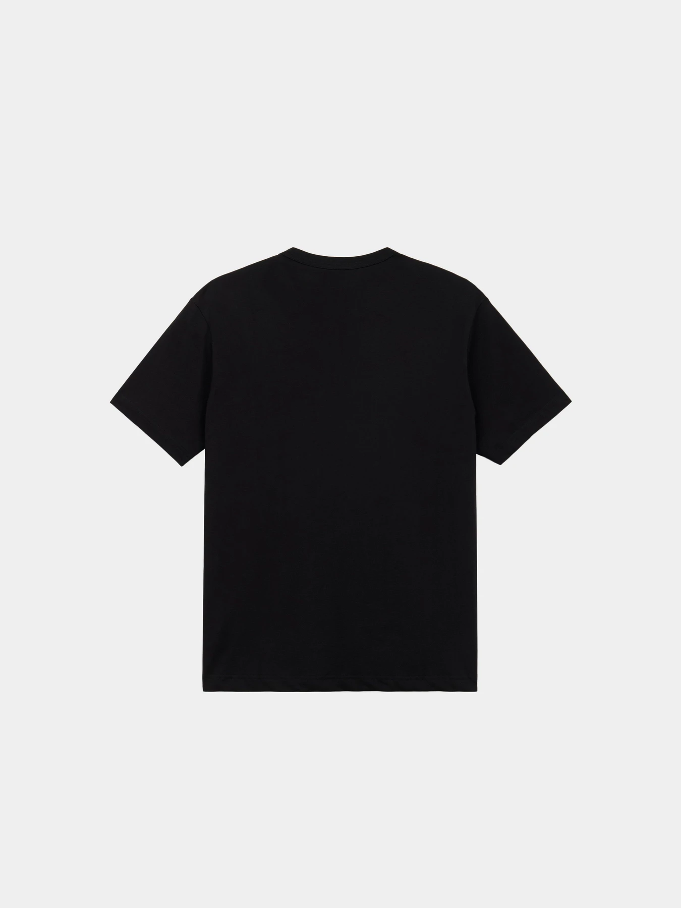 Футболки и поло Alpha Industries SS REGULAR TEE модель UTS55501C1_001 Футболки и поло Alpha Industries SS REGULAR TEE модель UTS55501C1_001 Фото