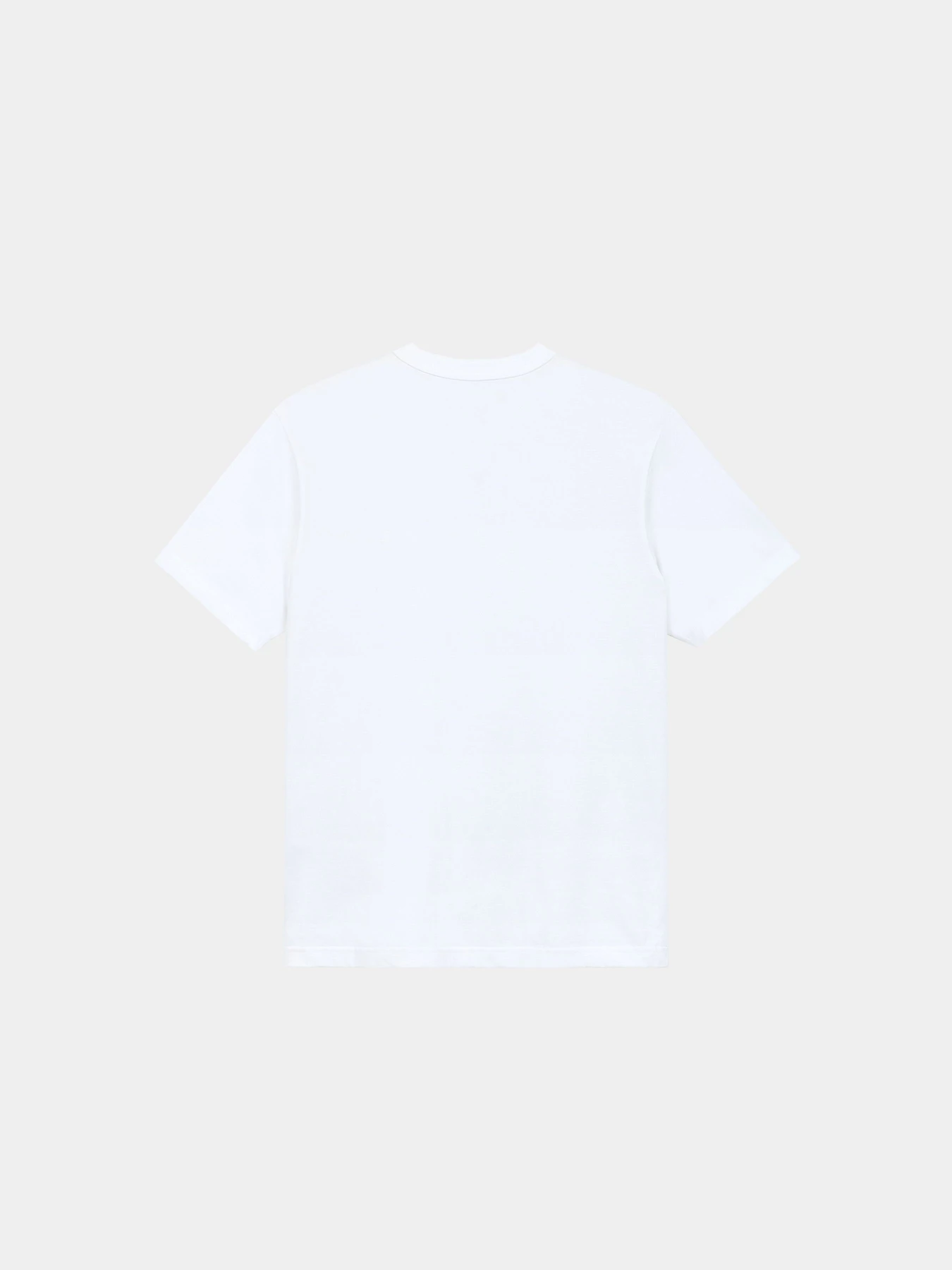 Футболки и поло Alpha Industries SS REGULAR TEE модель UTS55501C1_100 Футболки и поло Alpha Industries SS REGULAR TEE модель UTS55501C1_100 Фото