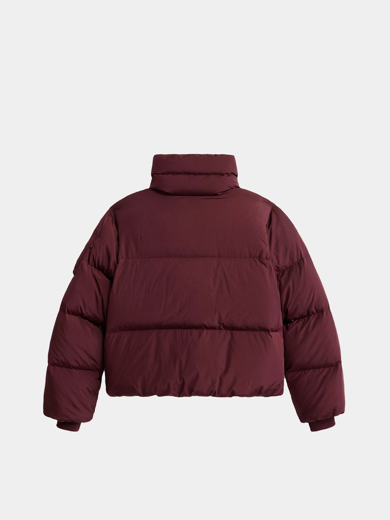 Куртки та дублянки Alpha Industries SIERRA SHORT PUFFER W модель WJS55504C1_621 Куртки та дублянки Alpha Industries SIERRA SHORT PUFFER W модель WJS55504C1_621 Фото