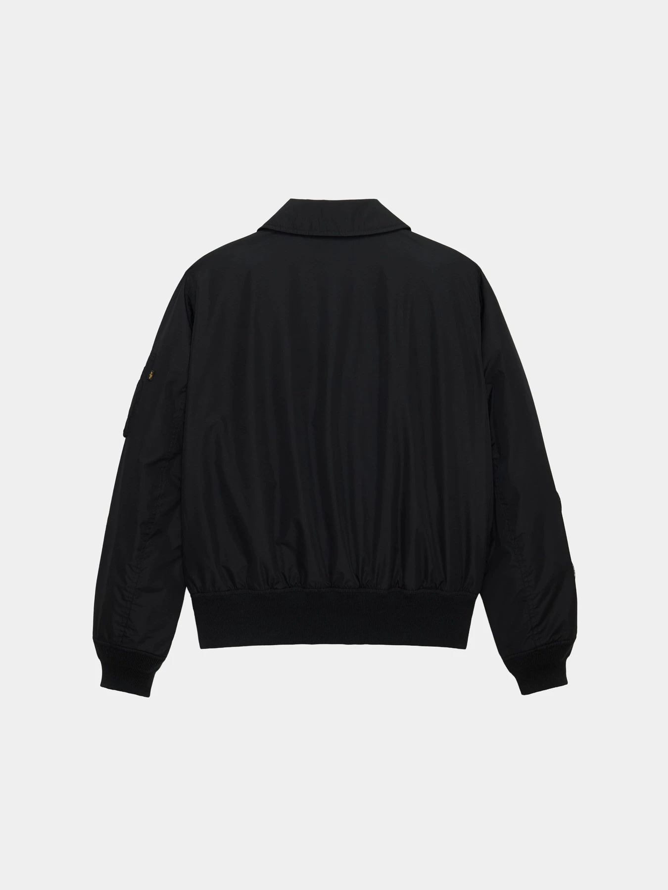 Куртки и дубленки Alpha Industries CWU 36/P RELAXED PATCHED FLIGH модель UJC56001C1_001 Куртки и дубленки Alpha Industries CWU 36/P RELAXED PATCHED FLIGH модель UJC56001C1_001 Фото