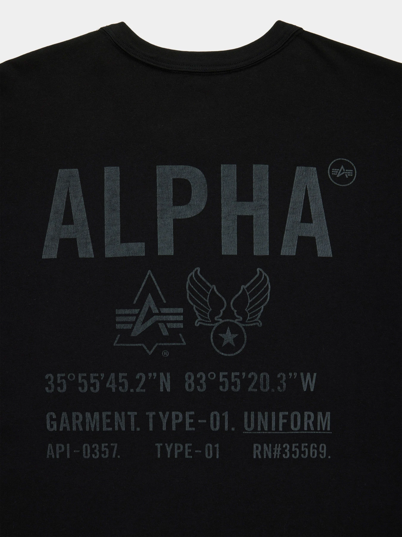 Футболки і поло Alpha Industries RELAXED UNIFORM TEE модель UTO56012PK_001 Футболки і поло Alpha Industries RELAXED UNIFORM TEE модель UTO56012PK_001 Фото