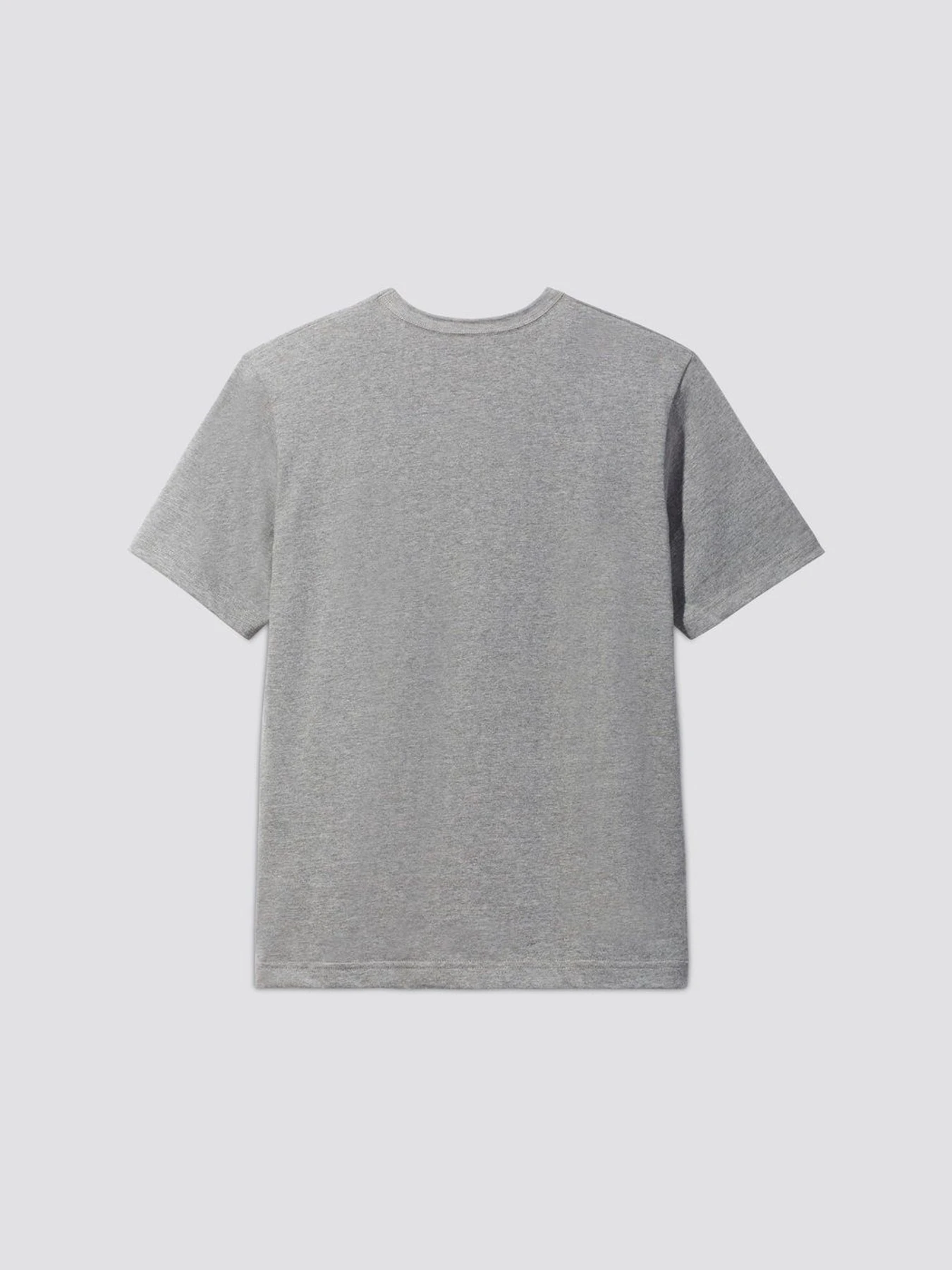 Футболки и поло Alpha Industries модель UTE51500C1_063 Футболки и поло Alpha Industries модель UTE51500C1_063 Фото