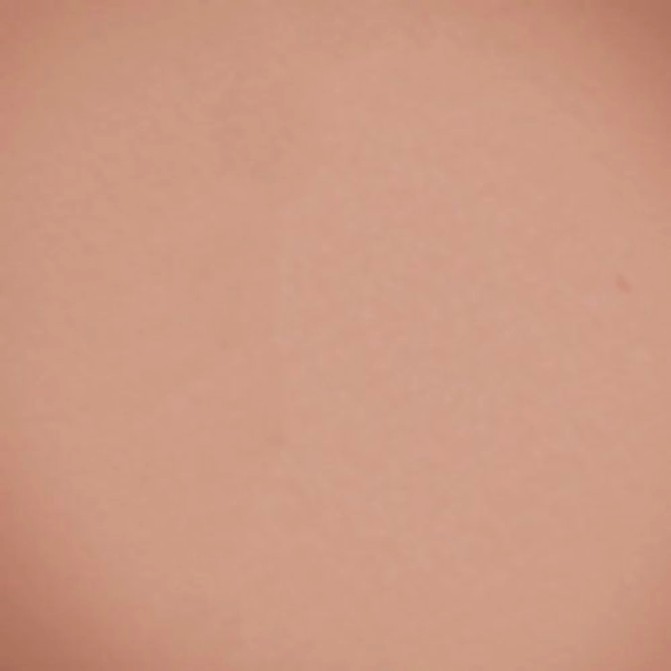Компактные румяна Velvet Blush Beyu модель 373.06 Компактные румяна Velvet Blush Beyu модель 373.06 Фото