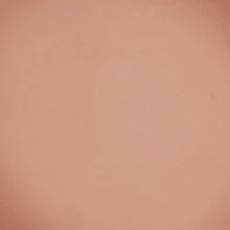Компактные румяна Velvet Blush Beyu модель 373.06 Фото