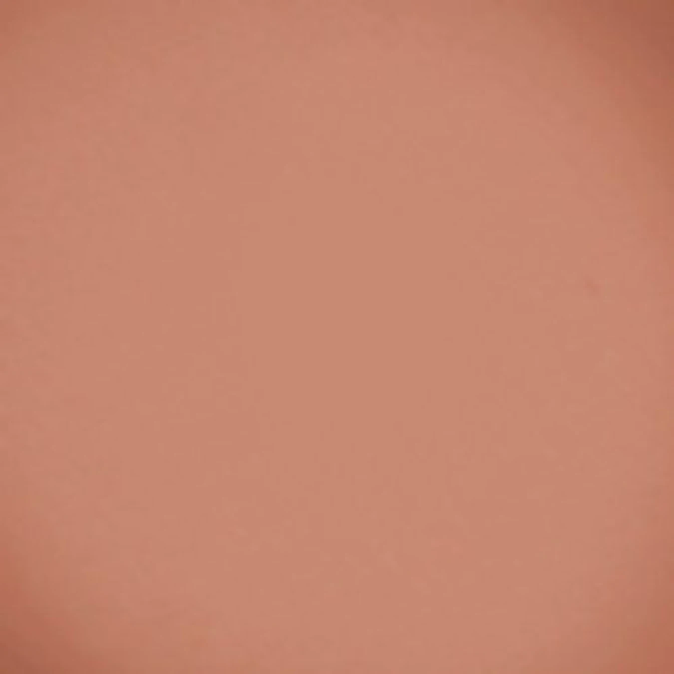 Компактні рум'яна Velvet Blush Beyu модель 373.09 Фото