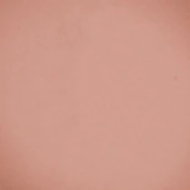 Beyu модель 373.17 Фото