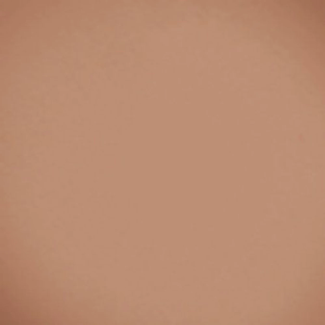 Компактні рум'яна Velvet Blush Beyu модель 373.30 Фото