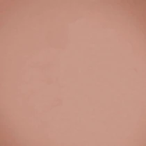 Компактні рум'яна Velvet Blush Beyu модель 373.36 Фото