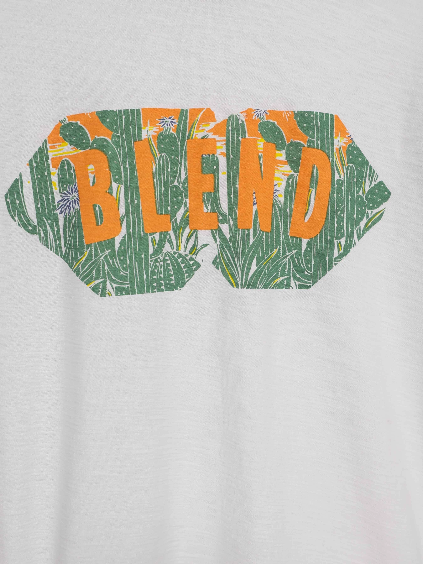 Футболки и поло Blend модель 20707903_білий комб. Футболки и поло Blend модель 20707903_білий комб. Фото
