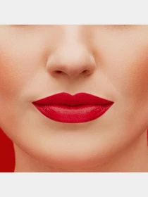 Помада зволожуюча Rouge Fabuleux BOURJOIS модель 3614225975455 Фото
