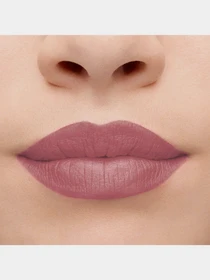 Карандаш для губ матовый Velvet The Pencil BOURJOIS модель 3614227208919 Фото