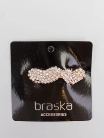 Braska модель 31-6651/477 Фото