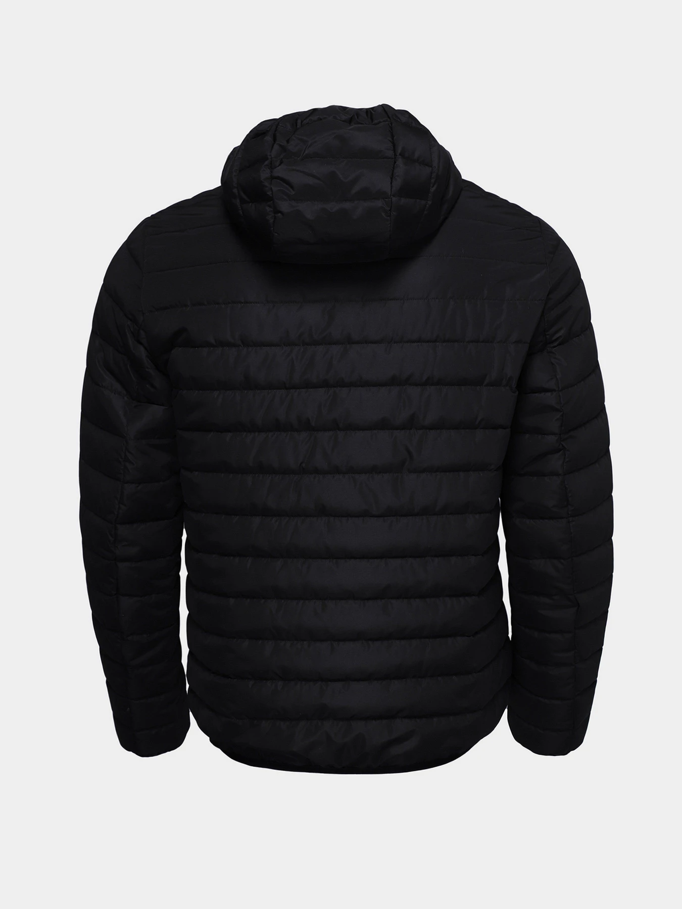 Куртки и дубленки Braska модель LS-9001-8 Куртки и дубленки Braska модель LS-9001-8 Фото