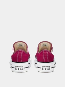 Кеды CONVERSE Chuck Taylor All Star Seasonal Color Lift модель 563496C Фото