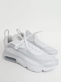 Кроссовки NIKE Air Max 2090 модель BV9977-100 Фото