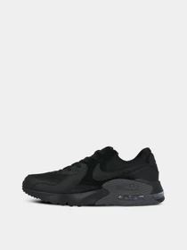 Кросівки NIKE AIR MAX EXCEE модель CD4165-003 Фото
