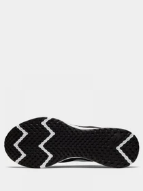 Кроссовки NIKE Revolution 5 модель BQ3204-002 Фото