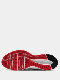 Кроссовки NIKE Quest 3 модель CD0230-004 Фото