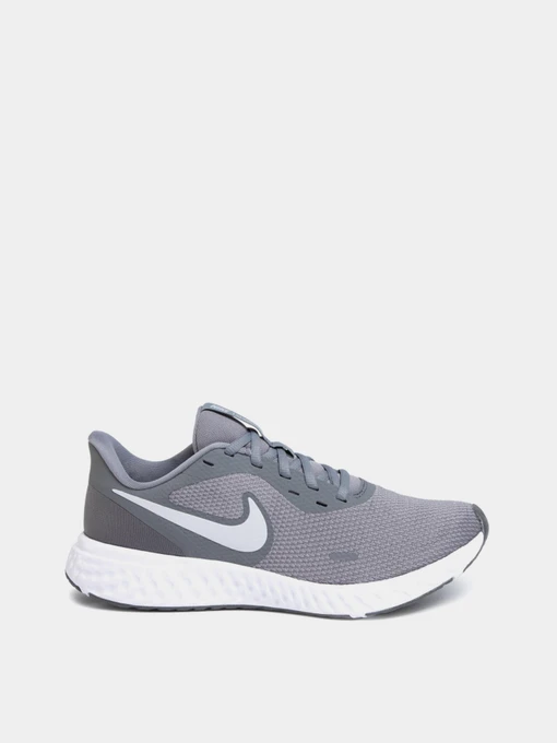 Кроссовки NIKE Revolution 5 модель BQ3204-005 Фото