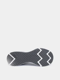 Кроссовки NIKE Revolution 5 модель BQ3204-005 Фото