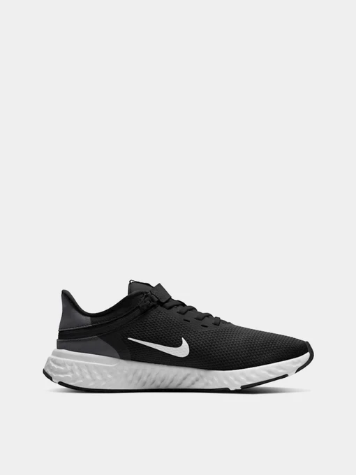 Кросівки NIKE Revolution 5 FlyEase модель BQ3211-004 Фото