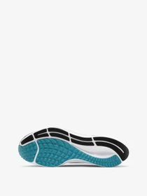 Кроссовки NIKE Air Zoom Pegasus 38 модель CW7356-003 Фото