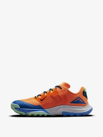 Кроссовки NIKE Air Zoom Terra Kiger 7 модель CW6062-800 Фото