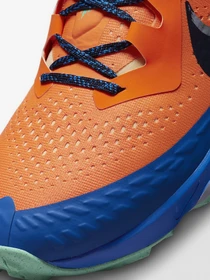 Кроссовки NIKE Air Zoom Terra Kiger 7 модель CW6062-800 Фото