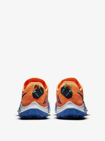 Кроссовки NIKE Air Zoom Terra Kiger 7 модель CW6062-800 Фото