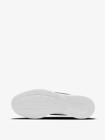 Кроссовки NIKE Tanjun модель DJ6258-003 Фото
