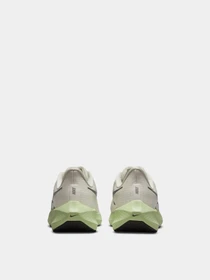 Кроссовки NIKE Air Zoom Pegasus 39 модель DH4071-101 Фото
